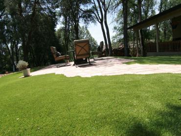 Artificial Grass Photos: Synthetic Grass Universal City, California Landscaping Business, Backyard Landscaping