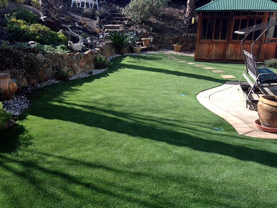 Artificial Grass Photos: Synthetic Lawn Acton, California Backyard Playground, Backyards