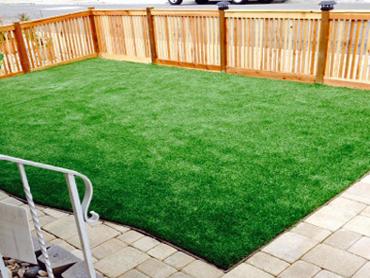 Artificial Grass Photos: Synthetic Lawn Lake Elsinore, California Landscaping, Front Yard Landscaping Ideas