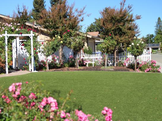 Artificial Grass Photos: Synthetic Lawn Lake Hughes, California Lawn And Landscape, Small Front Yard Landscaping