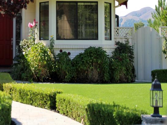 Artificial Grass Photos: Synthetic Lawn Lancaster, California Landscaping Business, Small Front Yard Landscaping