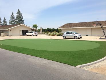 Artificial Grass Photos: Synthetic Lawn Long Beach, California Putting Green, Front Yard