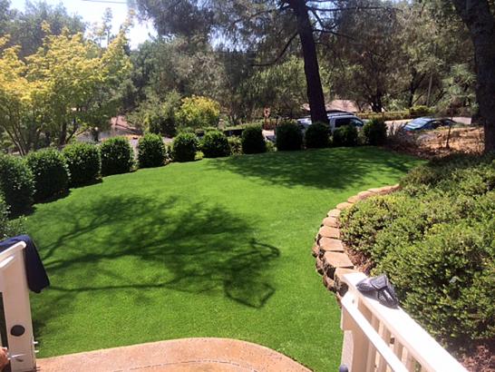 Artificial Grass Photos: Synthetic Lawn Mesa Verde, California Gardeners, Backyard Makeover