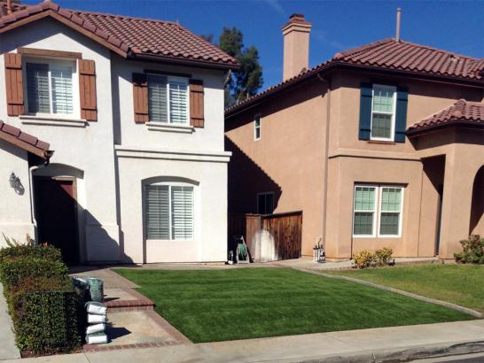 Artificial Grass Photos: Synthetic Lawn Palm Springs, California Landscaping Business, Front Yard Design
