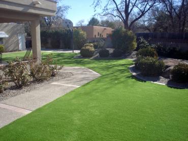 Artificial Grass Photos: Synthetic Lawn Phelan, California Roof Top, Front Yard Landscaping Ideas