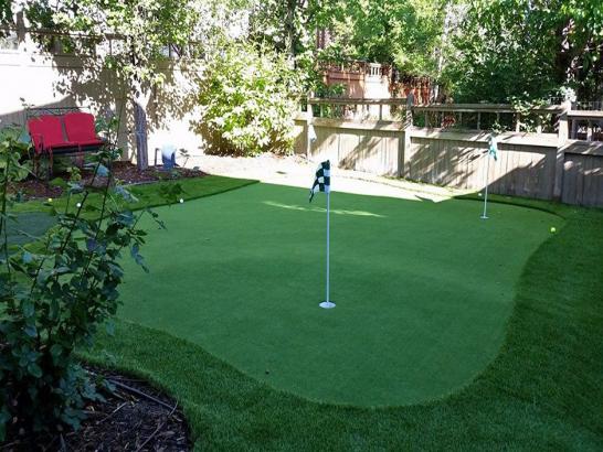 Artificial Grass Photos: Synthetic Lawn Thousand Palms, California Diy Putting Green, Backyard Landscape Ideas