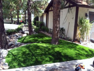 Artificial Grass Photos: Synthetic Lawn Walnut, California, Front Yard Design