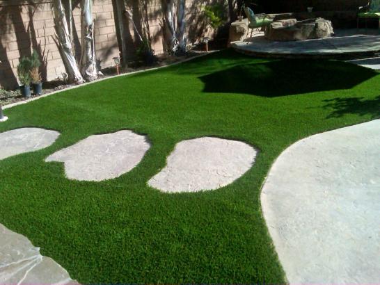 Artificial Grass Photos: Synthetic Turf Baldwin Park, California Lawns, Small Backyard Ideas