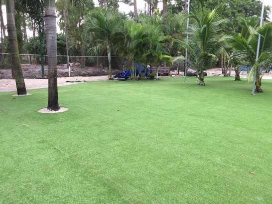 Artificial Grass Photos: Synthetic Turf Big River, California Roof Top, Commercial Landscape