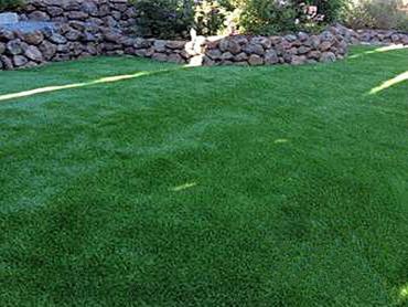 Artificial Grass Photos: Synthetic Turf Chino, California Dogs, Backyard Design