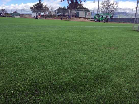 Artificial Grass Photos: Synthetic Turf Desert View Highlands, California Sports Athority