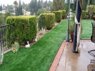 Artificial Grass Photos: Synthetic Turf East San Gabriel, California Backyard Playground, Backyard Designs