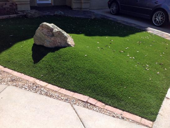 Artificial Grass Photos: Synthetic Turf Gardena, California City Landscape