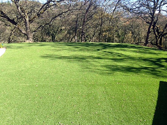 Artificial Grass Photos: Synthetic Turf Gardena, California Paver Patio, Parks
