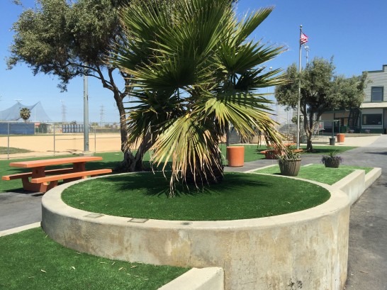 Artificial Grass Photos: Synthetic Turf Grand Terrace, California, Commercial Landscape