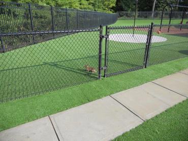 Artificial Grass Photos: Synthetic Turf Lennox, California City Landscape, Recreational Areas