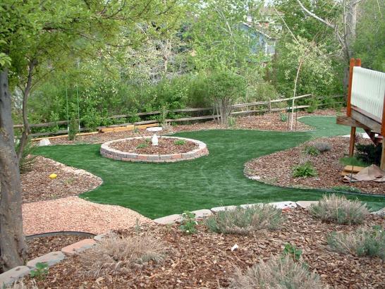 Artificial Grass Photos: Synthetic Turf Lynwood, California Home And Garden, Backyard Design