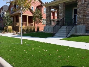 Synthetic Turf Lytle Creek, California Gardeners, Front Yard Design artificial grass