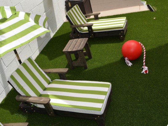 Artificial Grass Photos: Synthetic Turf Mentone, California Landscape Design, Backyard Landscape Ideas