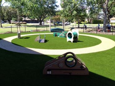 Artificial Grass Photos: Synthetic Turf Mountain Center, California Design Ideas, Commercial Landscape