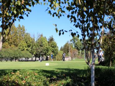 Artificial Grass Photos: Synthetic Turf Pico Rivera, California Putting Green Grass