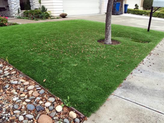 Artificial Grass Photos: Synthetic Turf Sierra Madre, California Backyard Deck Ideas, Front Yard Landscaping