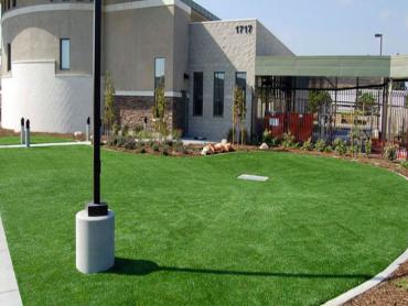 Artificial Grass Photos: Synthetic Turf South El Monte, California Backyard Playground, Commercial Landscape