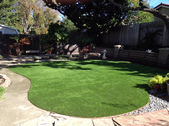 Artificial Grass Photos: Synthetic Turf Supplier Alondra Park, California City Landscape, Backyard Design