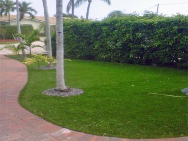 Artificial Grass Photos: Synthetic Turf Supplier Culver City, California Lawns, Front Yard Landscape Ideas