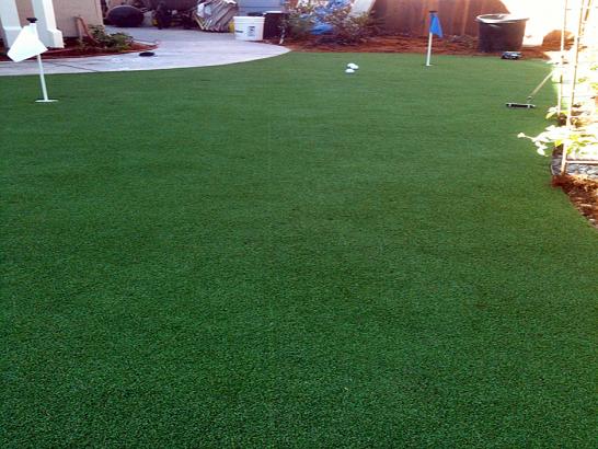 Artificial Grass Photos: Synthetic Turf Supplier Fontana, California Indoor Putting Green, Backyard Landscape Ideas