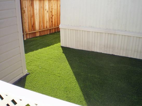 Artificial Grass Photos: Synthetic Turf Supplier Hacienda Heights, California Pet Grass, Backyard Design