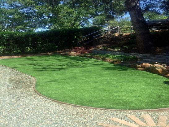 Artificial Grass Photos: Synthetic Turf Supplier Highgrove, California Landscape Ideas, Backyard