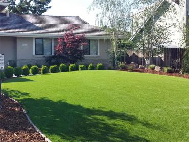 Artificial Grass Photos: Synthetic Turf Supplier Huntington Park, California Roof Top, Front Yard Landscaping Ideas