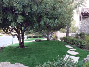 Artificial Grass Photos: Synthetic Turf Supplier Malibu, California Gardeners, Front Yard Ideas