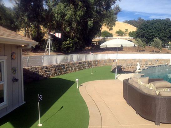 Artificial Grass Photos: Synthetic Turf Supplier Moreno Valley, California Design Ideas, Backyard Landscaping