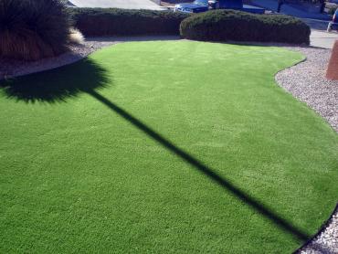 Artificial Grass Photos: Synthetic Turf Supplier Westwood, California Design Ideas, Landscaping Ideas For Front Yard