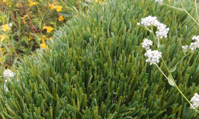 Double S-61 syntheticgrass Artificial Grass Inland Empire, California