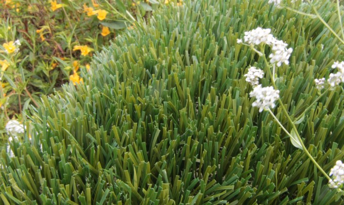 Double S-72 syntheticgrass Artificial Grass Inland Empire, California