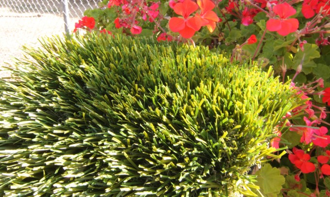 Double S-72 syntheticgrass Artificial Grass Inland Empire, California