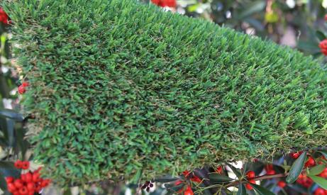 Artificial Grass United States