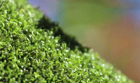 Putting Green Indoor