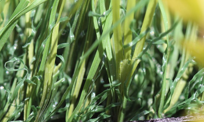 syntheticgrass S Blade 53 Green on Green