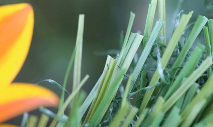 syntheticgrass S Blade-90 Green on Green