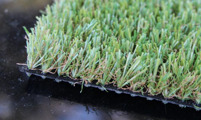 Residential Pet Grass