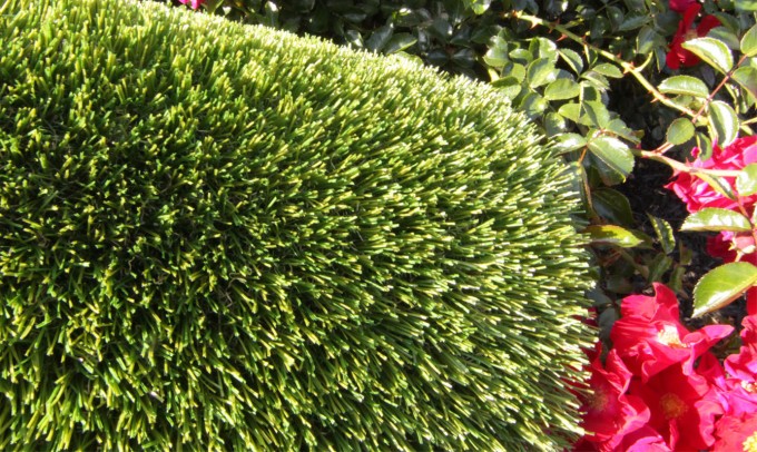 V Blade-64 syntheticgrass Artificial Grass Inland Empire, California