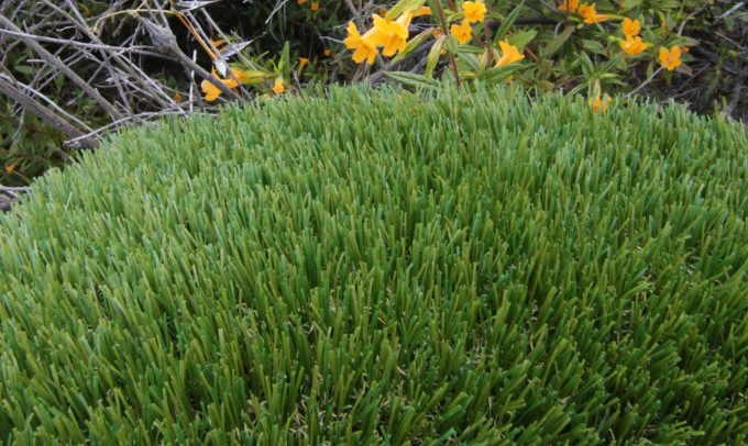 V Blade-64 syntheticgrass Artificial Grass Inland Empire, California