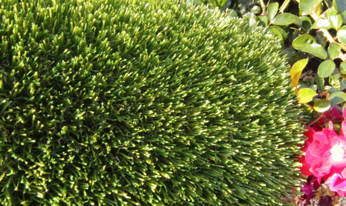 V Blade-77 syntheticgrass Artificial Grass Inland Empire, California