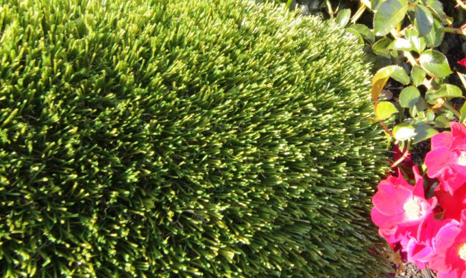 V Blade-77 syntheticgrass Artificial Grass Inland Empire, California