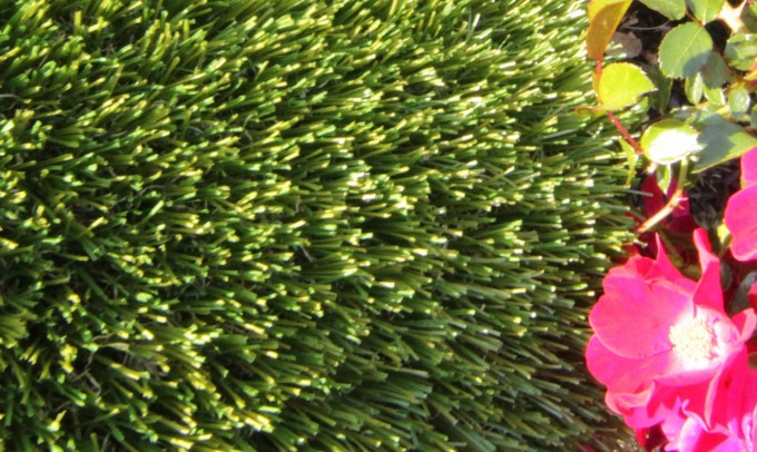 V Blade-77 syntheticgrass Artificial Grass Inland Empire, California