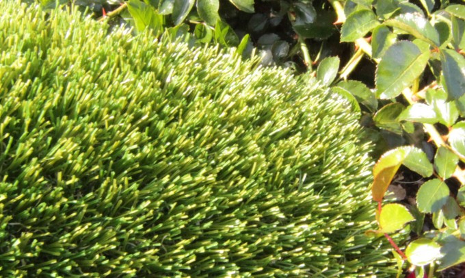 V Blade-77 syntheticgrass Artificial Grass Inland Empire, California